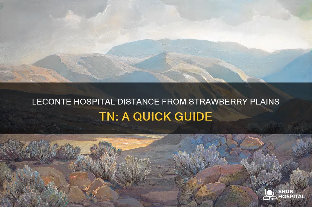 how far is leconte hospital from strawberry plains tn