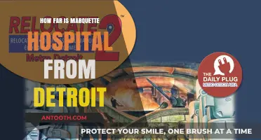 Marquette Hospital: Distance and Accessibility from Detroit