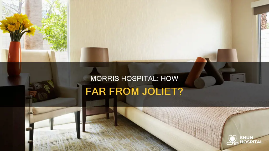 how far is morris hospital from joliet