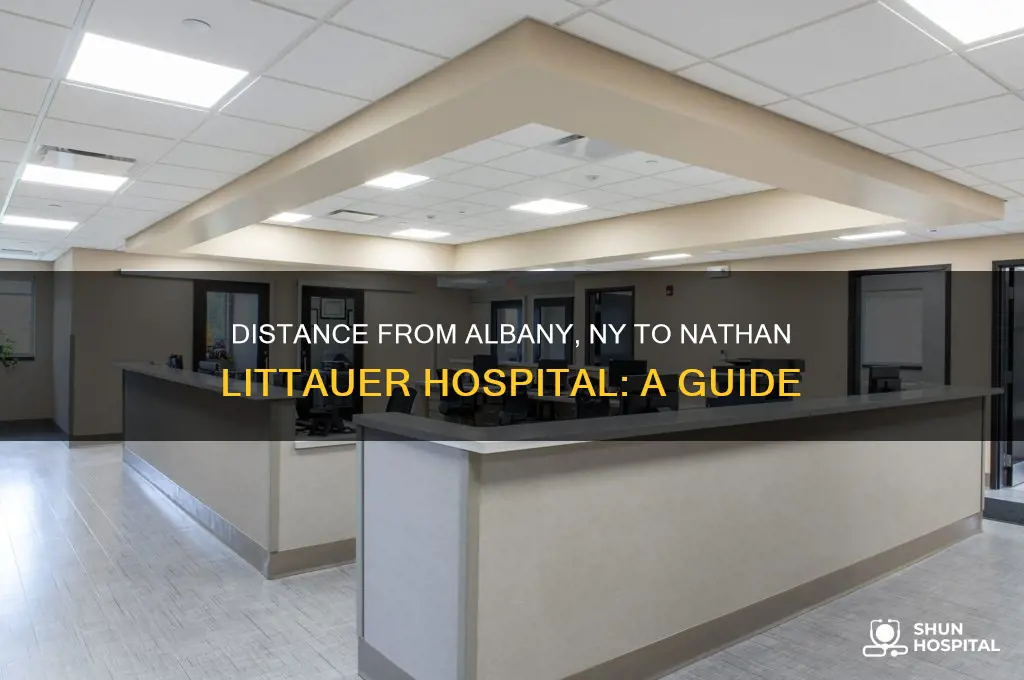 how far is nathan luthier hospital from albany ny