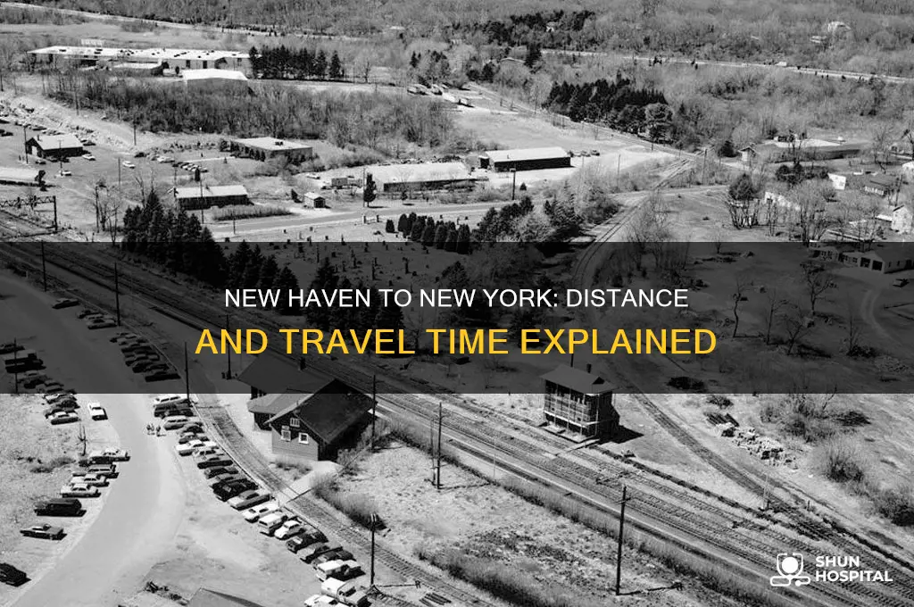 how far is new haven connecticut from new york