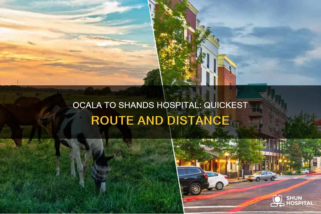 how far is ocala from shands hospital