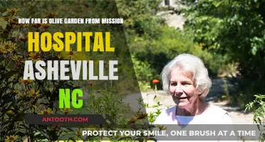 Olive Garden to Mission Hospital Asheville: Quick Distance Guide