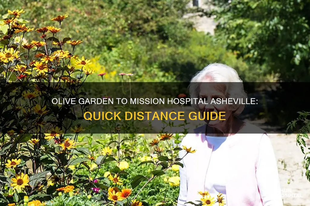 how far is olive garden from mission hospital asheville nc