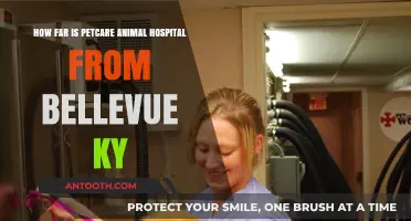 Petcare Animal Hospital's Distance from Bellevue, KY: A Quick Guide