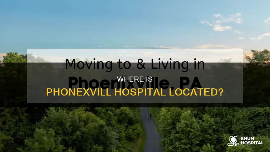 how far is phonexvill hospital from philadelphia