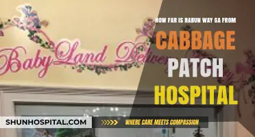 Distance from Rabun Way GA to Cabbage Patch Hospital: A Guide