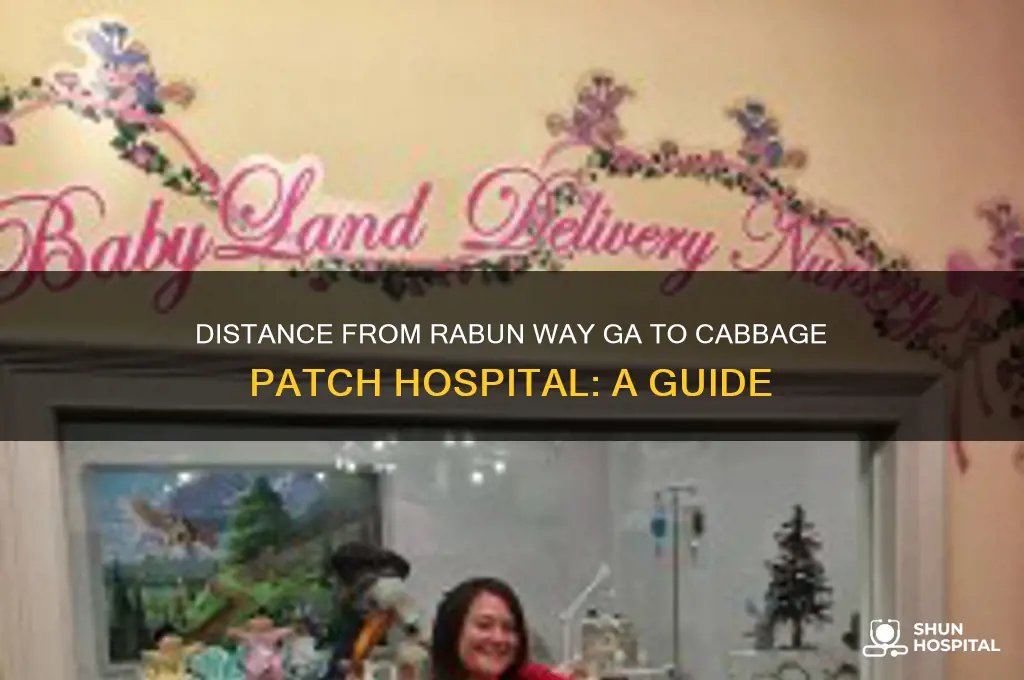 how far is rabun way ga from cabbage patch hospital