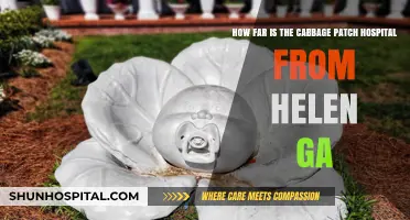 Cabbage Patch Hospital Distance from Helen, GA: A Quick Guide