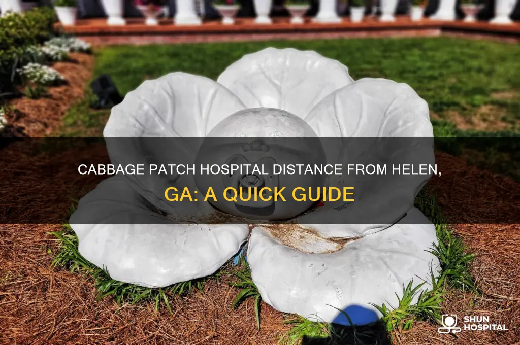 how far is the cabbage patch hospital from helen ga