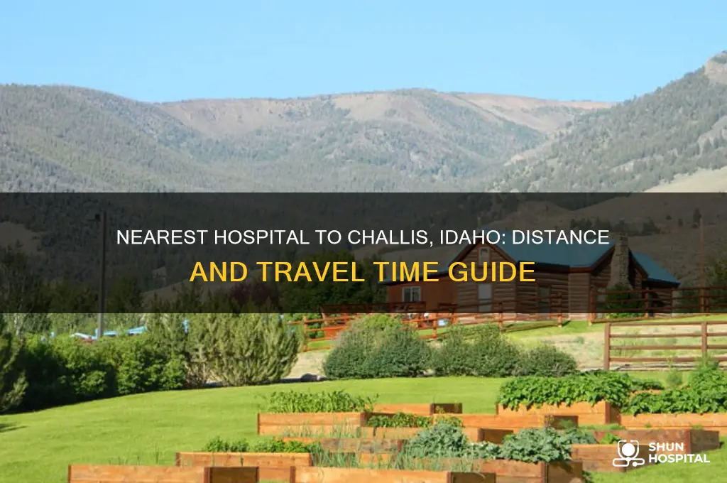 how far is the nearest hospital from challis idaho