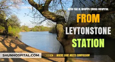 Whipps Cross Hospital to Leytonstone Station: Quick Travel Guide