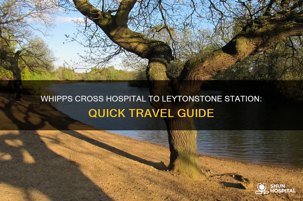 how far is whipps cross hospital from leytonstone station