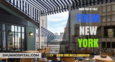 Yale and NYC: How Close Are They?