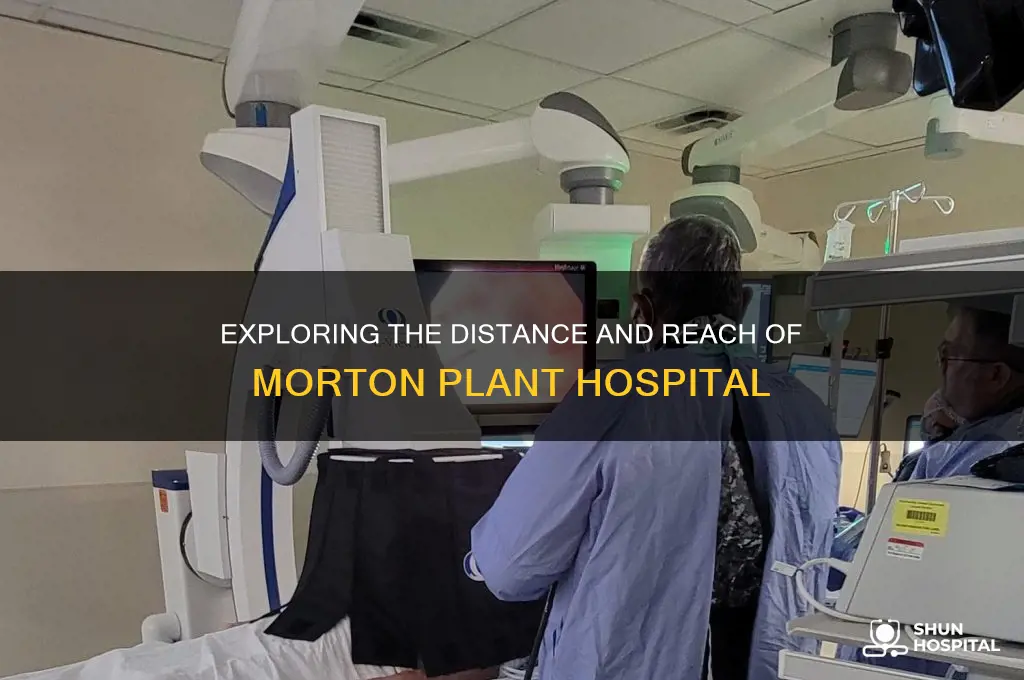 how far morton plant hospital