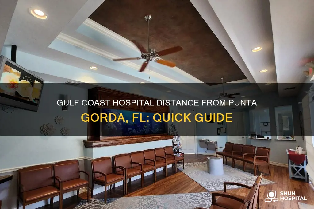 how far to gulf coast hospital from punta gorda fla