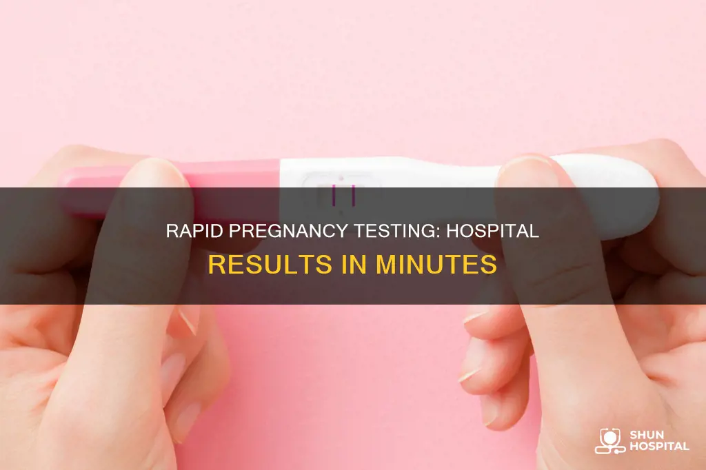 how fast does a hospital pregnancy test