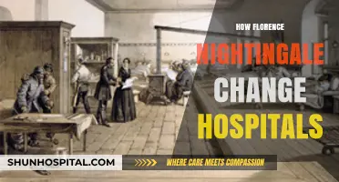 Florence Nightingale's Legacy: Revolutionizing Hospital Care and Patient Outcomes