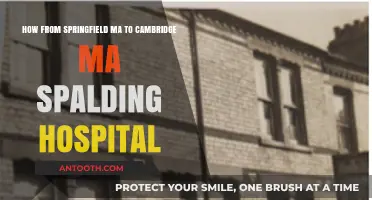 Traveling from Springfield to Cambridge MA: Spalding Hospital Route Guide