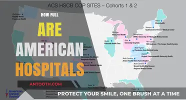 Are American Hospitals Overwhelmed? Current Capacity and Challenges Explained