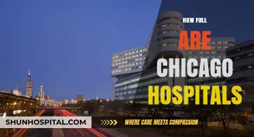 Chicago Hospitals' Capacity: Current Status and Patient Impact
