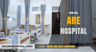 Hospital Capacity Crisis: Understanding Bed Occupancy and Patient Overflow