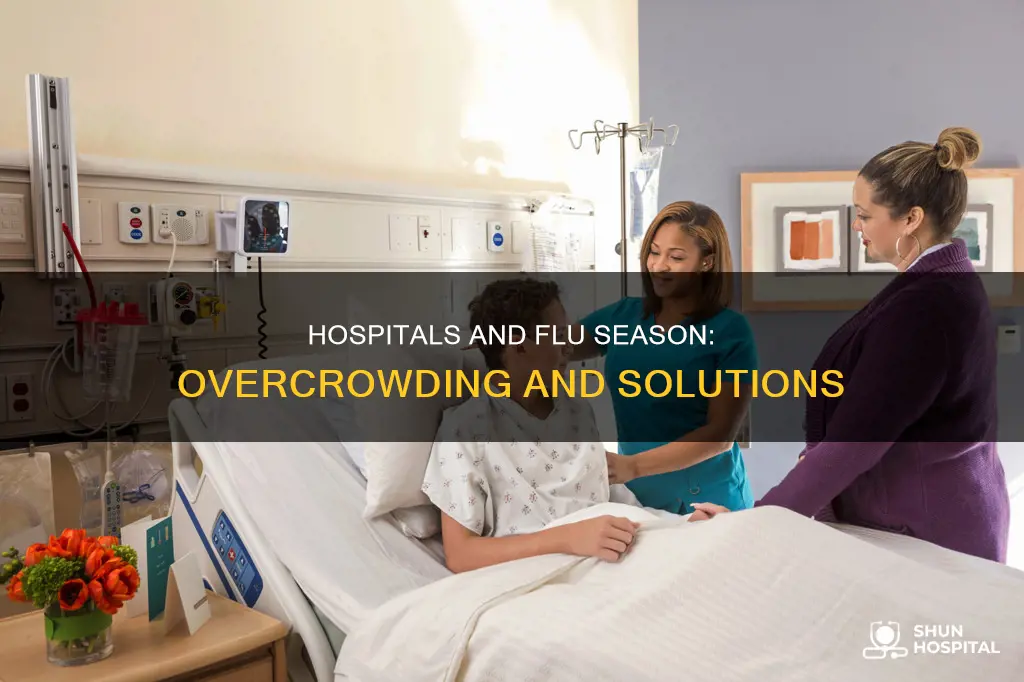 how full are hospitals during flu season