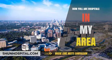 Local Hospital Capacity: How Full Are They?