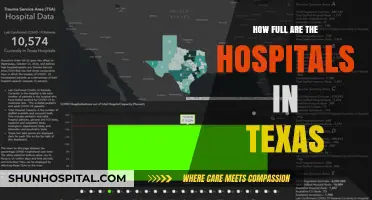 Texas Hospitals: Overcrowding and Capacity Concerns