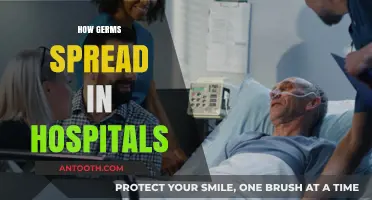 Preventing Hospital-Acquired Infections: Understanding Germ Spread in Healthcare Settings