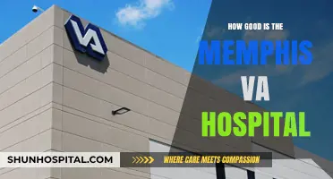 Veterans Affairs: Memphis Hospital's Performance Review