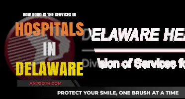Delaware Hospital Services: Quality, Accessibility, and Patient Satisfaction Reviewed