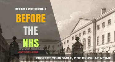 The Pre-NHS Hospitals: Were They Any Good?
