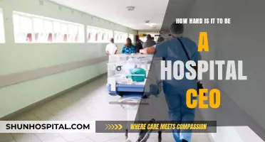 The Challenges of Leading a Hospital: A CEO's Perspective