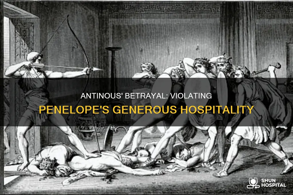 how has antinous violated penelope