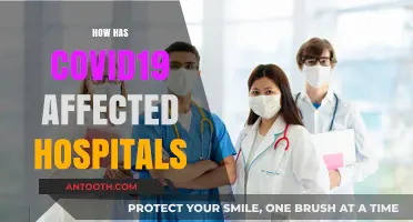 COVID-19's Impact: Challenges and Changes in Hospital Operations