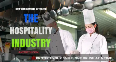 The Impact of COVID-19 on the Hospitality Industry