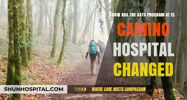 Transforming Care: El Camino Hospital's Oats Program Evolution and Impact