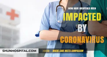 Hospitals' Battle: COVID-19's Impact and the Road to Recovery