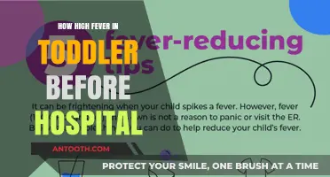 When to Rush Your Toddler to the Hospital With Fever