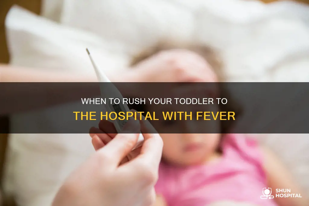 how high fever in toddler before hospital