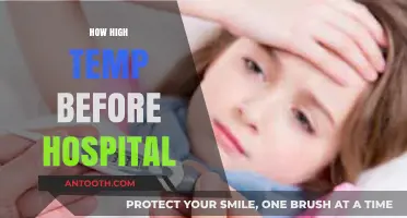 When to Seek Emergency Care: High Fever Temperature Thresholds Explained