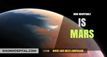 Exploring Mars' Habitability: Challenges and Possibilities for Human Life