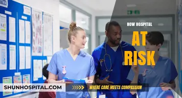 Hospitals in Peril: Uncovering Critical Risks and Urgent Solutions