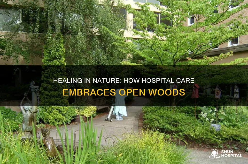 how hospital care open woods