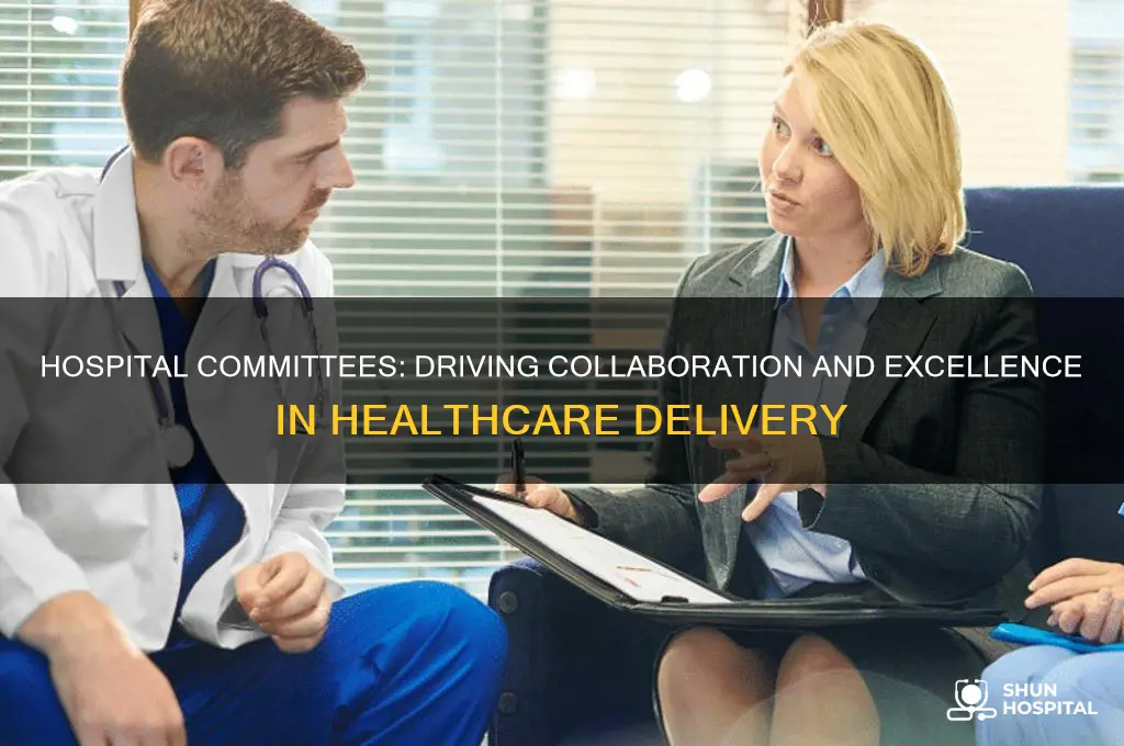 how hospital committees enchance worl