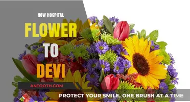 Hospital Flowers to Devi: A Guide to Thoughtful Gifting and Care