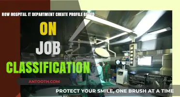 Tailoring IT Profiles in Hospitals: Job Classification Strategies for Efficiency