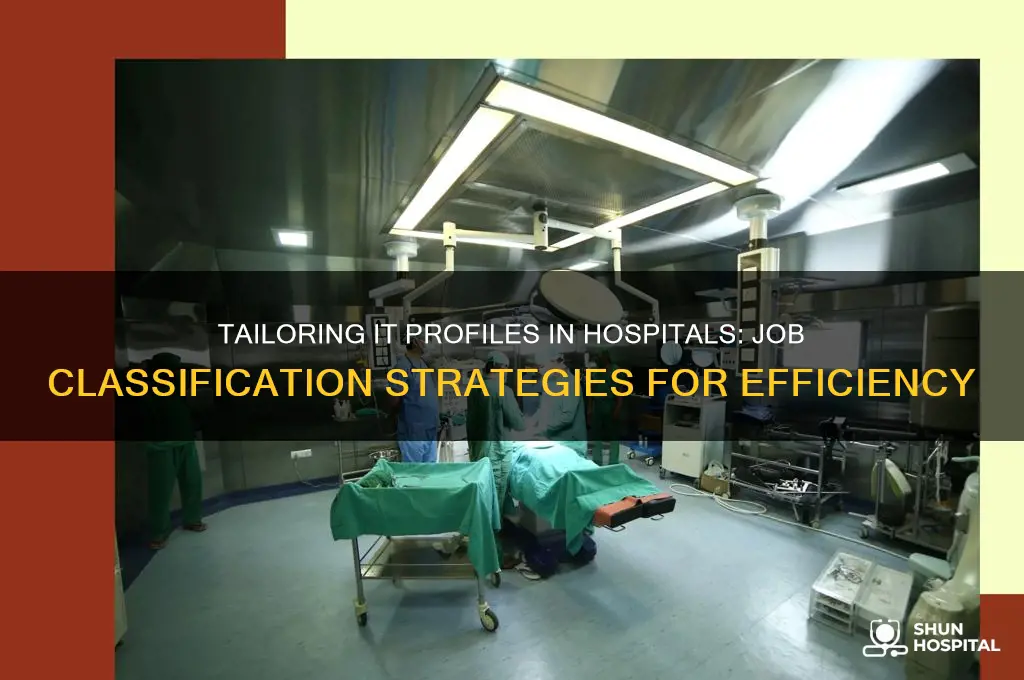 how hospital it department create profile based on job classification