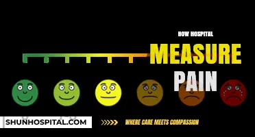 Understanding Pain Assessment: How Hospitals Measure Patient Discomfort Effectively